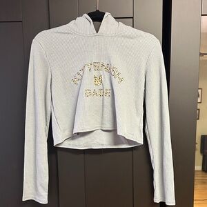 Kittenish Light Gray Cropped Hoodie with Gold Detail